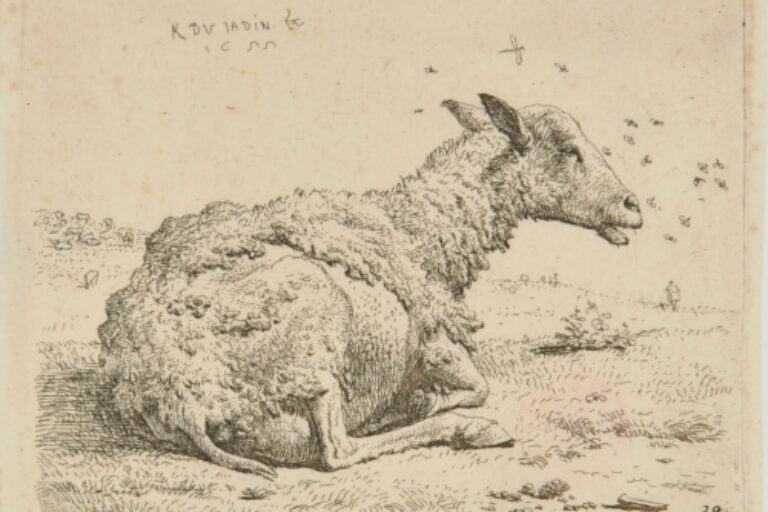 THE SHEEP AND THE FLIES