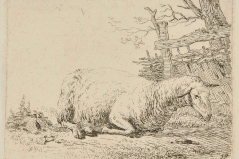 THE SHEEP BY THE STRAW FENCE