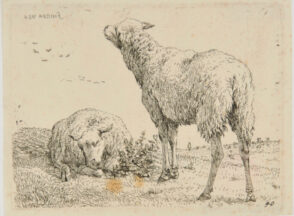 The Two Sheep