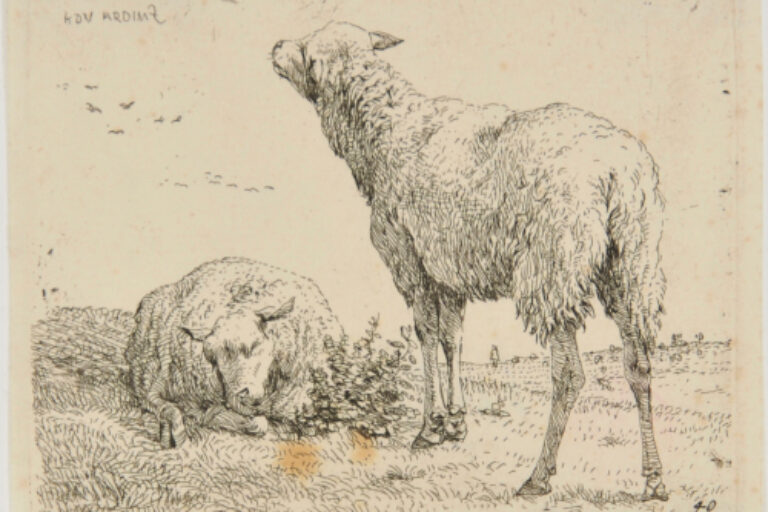 THE TWO SHEEP