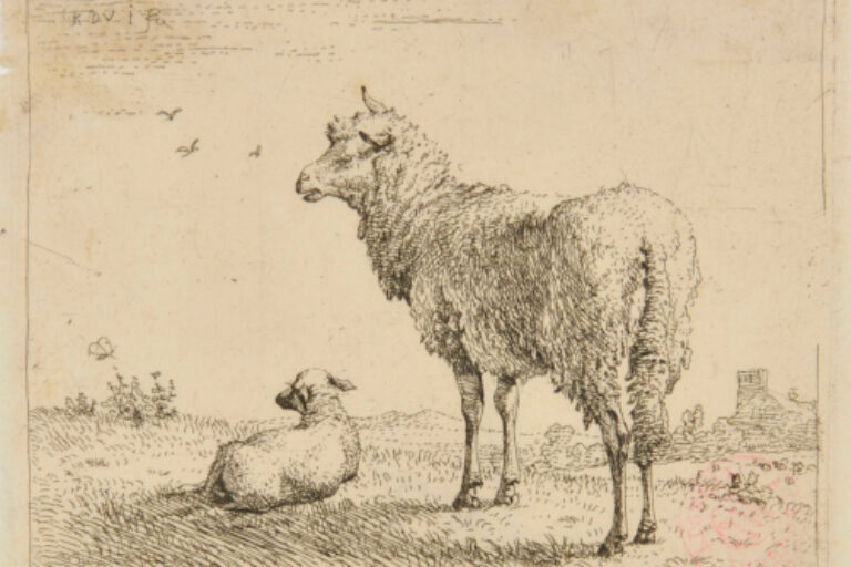 THE EWE AND HER LAMB