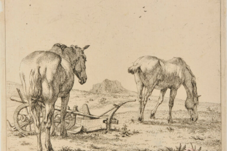 THE TWO HORSES NEAR A PLOW
