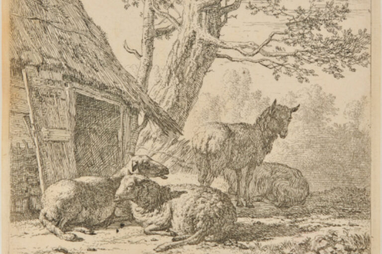 FOUR SHEEP