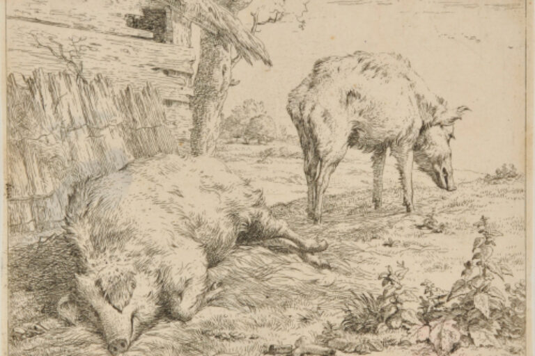 TWO PIGS