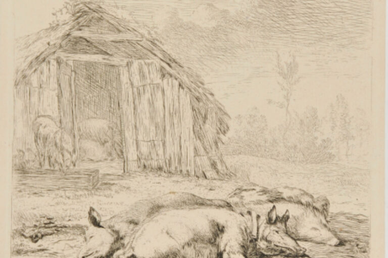 THREE PIGS ASLEEP