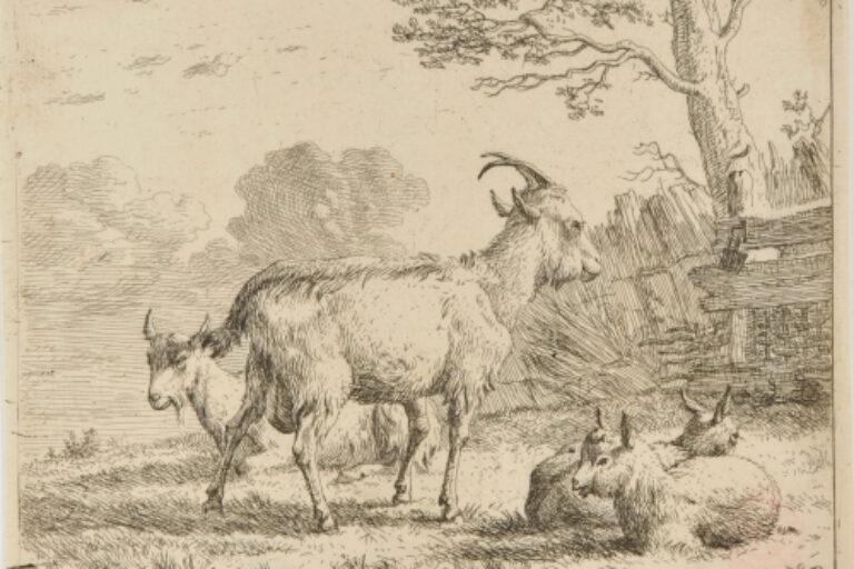 FOUR GOATS