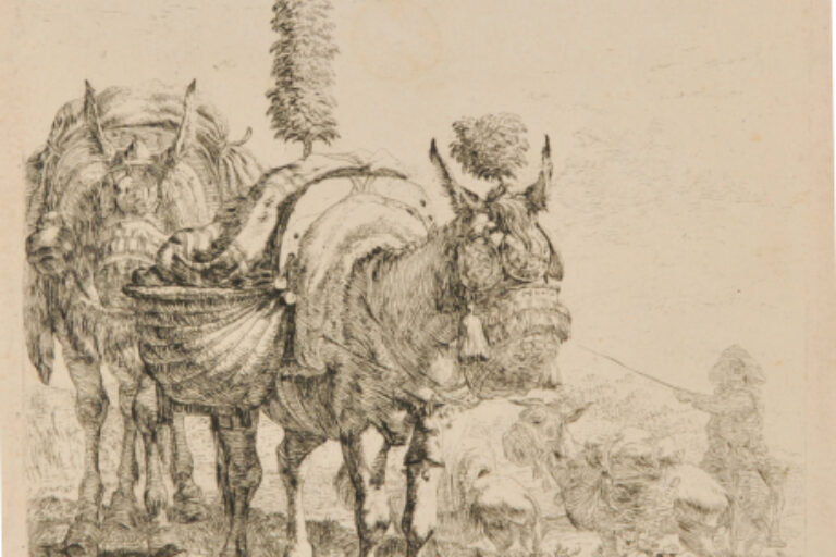 THE TWO MULES