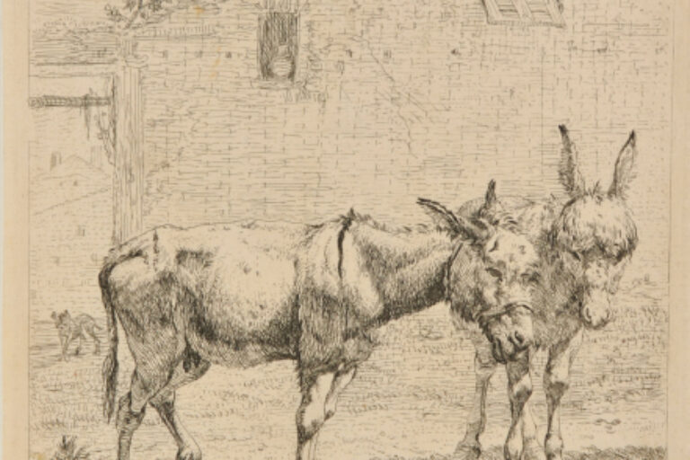THE TWO DONKEYS