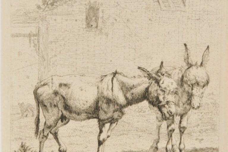 THE TWO DONKEYS