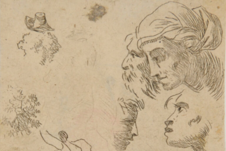 STUDIES OF HEADS
