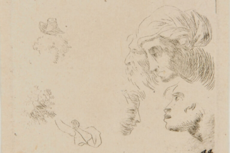 STUDIES OF HEADS