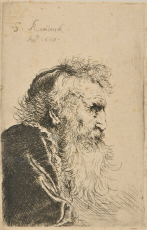 Head of an Old Man with a Beard