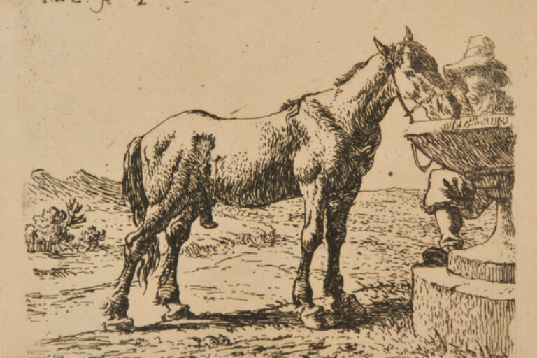 HORSES