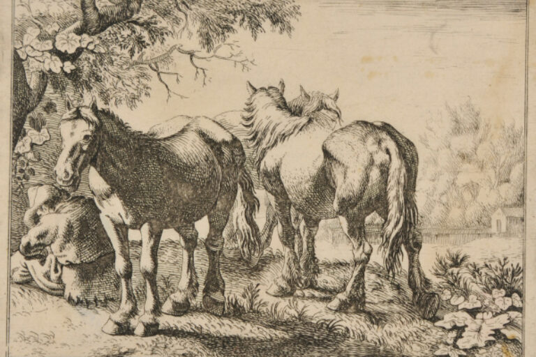 THE HORSES