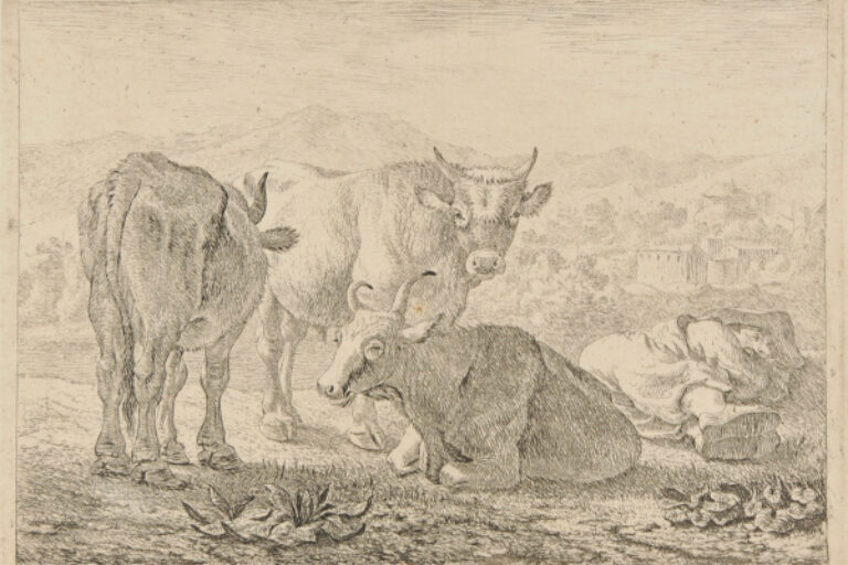 THE OXEN