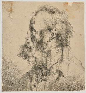 Head of an Old Man, with Long Hair and Beard, Profile to Left