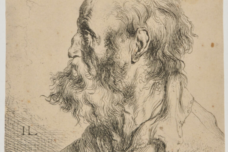 HEAD OF AN OLD MAN, WITH LONG HAIR AND BEARD, PROFILE TO LEFT