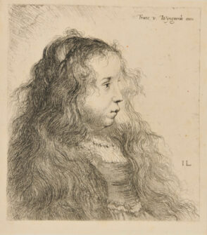 Head of a Young Woman with Long, Flowing Hair
