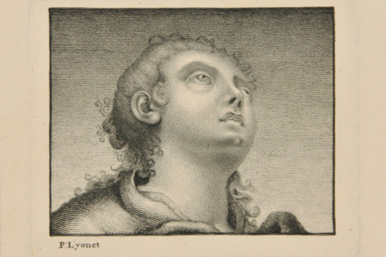 UPTURNED HEAD OF A YOUNG WOMAN