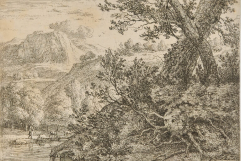 LANDSCAPE WITH TREES WITH EXPOSED ROOTS