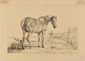 Horse in Meadow by a Wooden Barrier