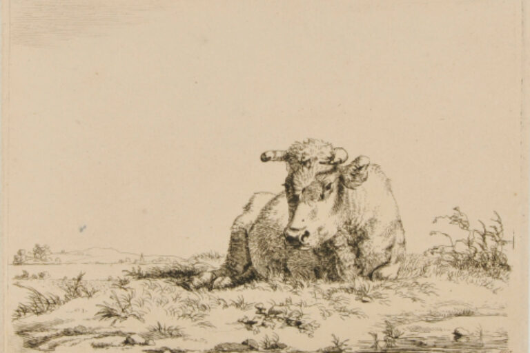 OX LYING DOWN, TURNED TO LEFT