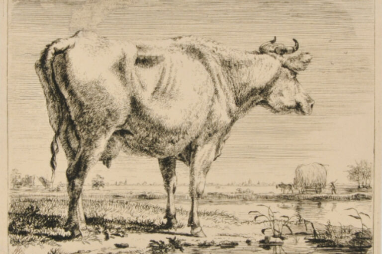 LANDSCAPE WITH COW IN FOREGROUND