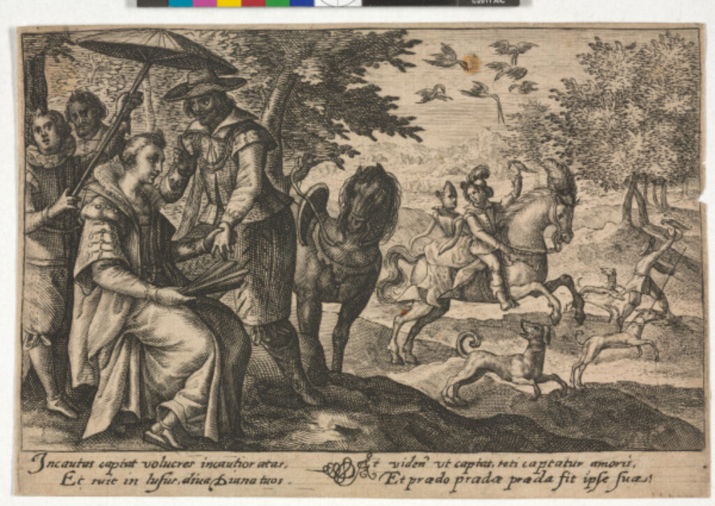 Incautus captat volucres