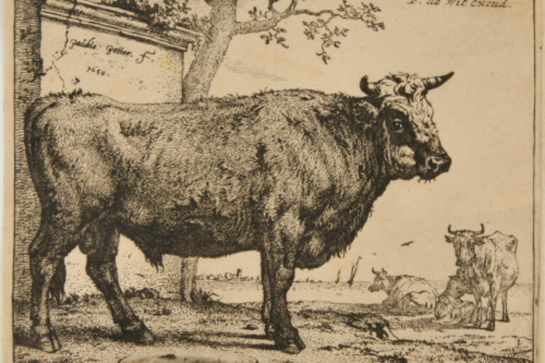 BULL