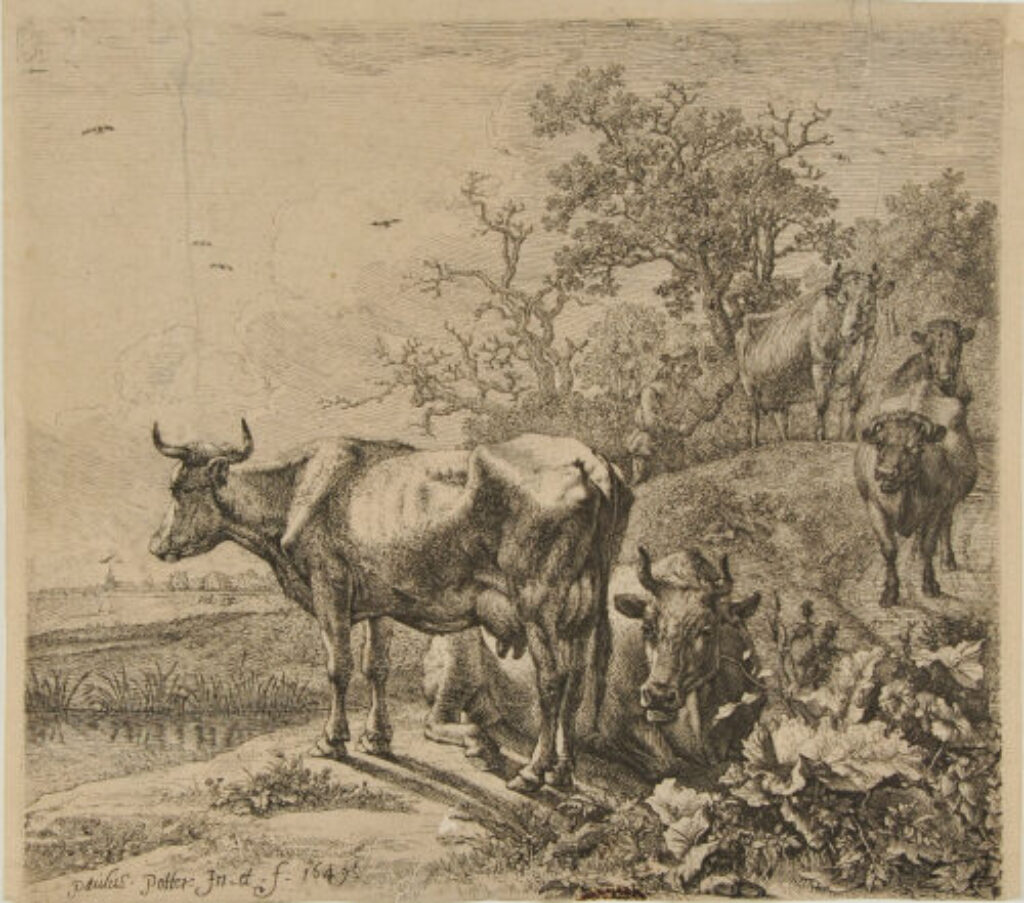 Cow-Herd