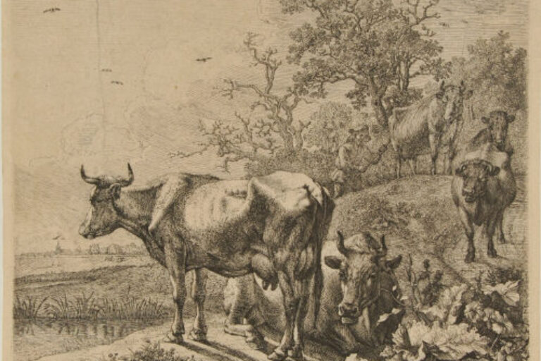 COW-HERD