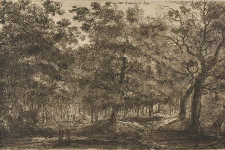 IN THE WOODS AT SEUNIG