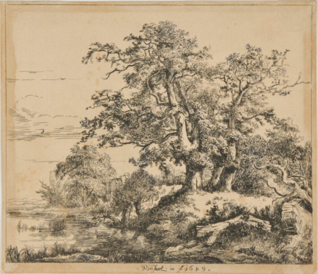 The Group of Three Oaks