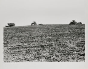Combining Soybeans, Charles County.