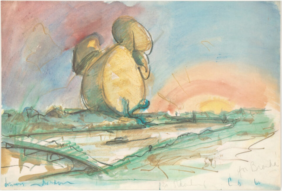 Lily Schierenberd Converse