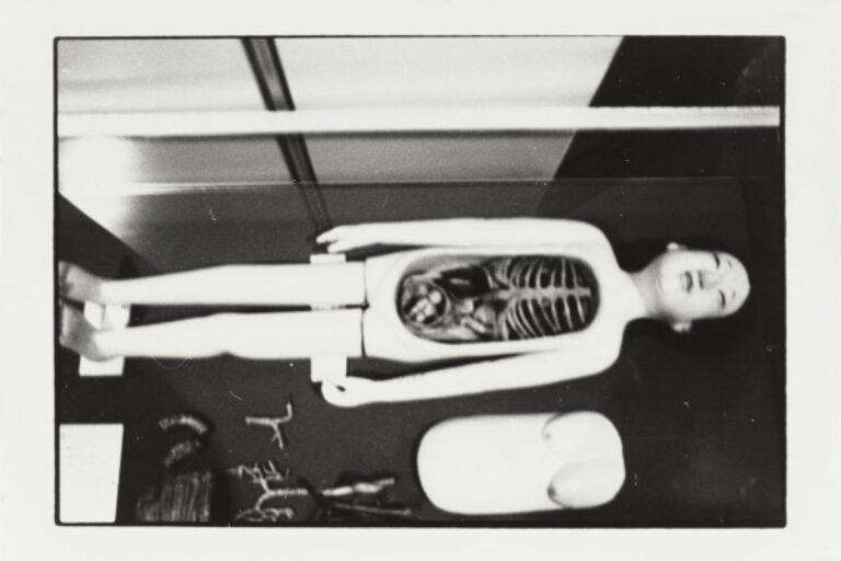 WOODEN ANATOMICAL MODEL