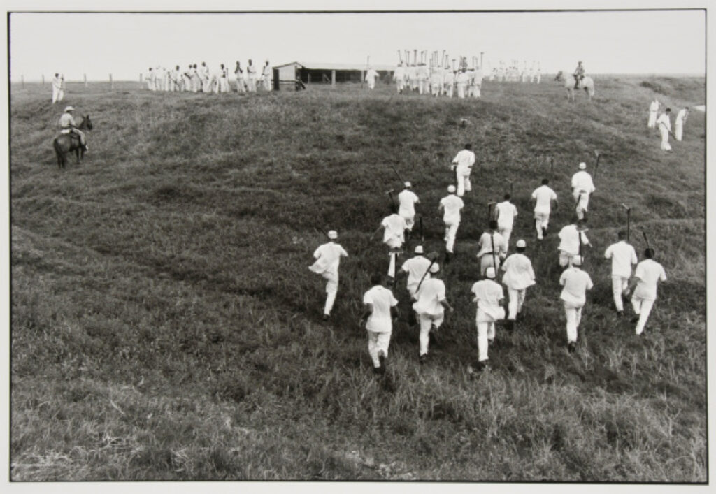 Conversations with the Dead