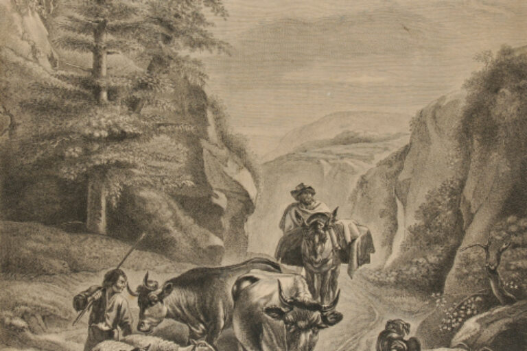 MOUNTAIN ROAD WITH RETURNING CATTLE