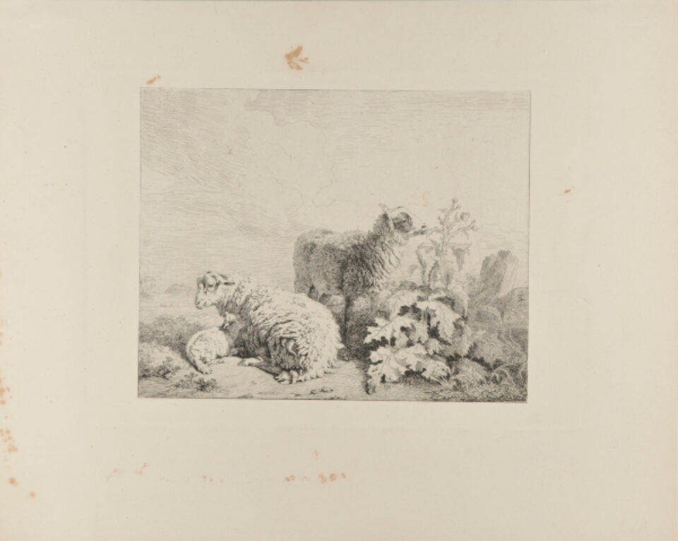 Edmond Jean Baptiste Tschaggeny