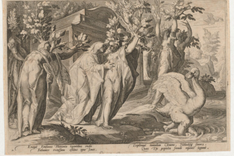 PHAETON'S SISTER CHANGED INTO POPLARS AND CYGNUS INTO A SWAN