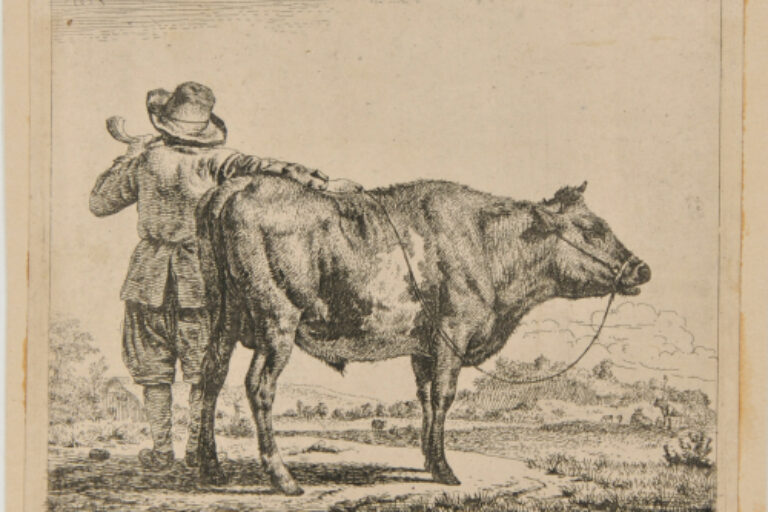 THE COWHERD AND THE STEER