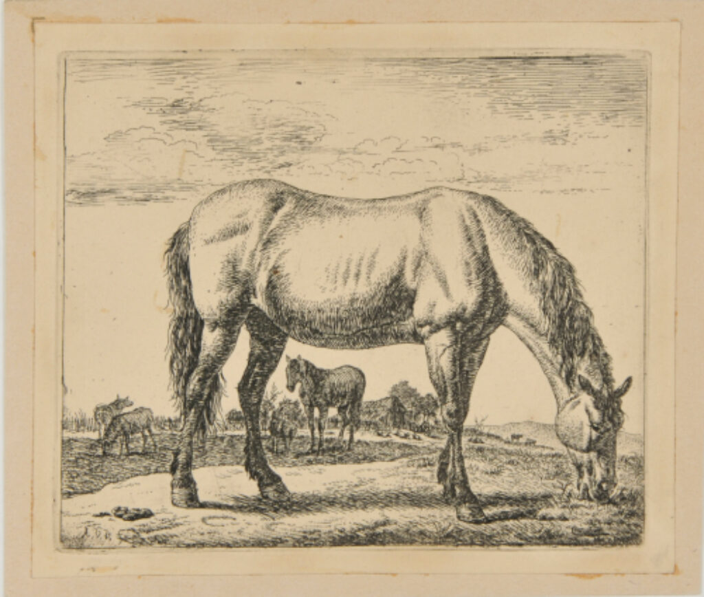 The Horse