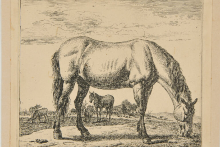 THE HORSE