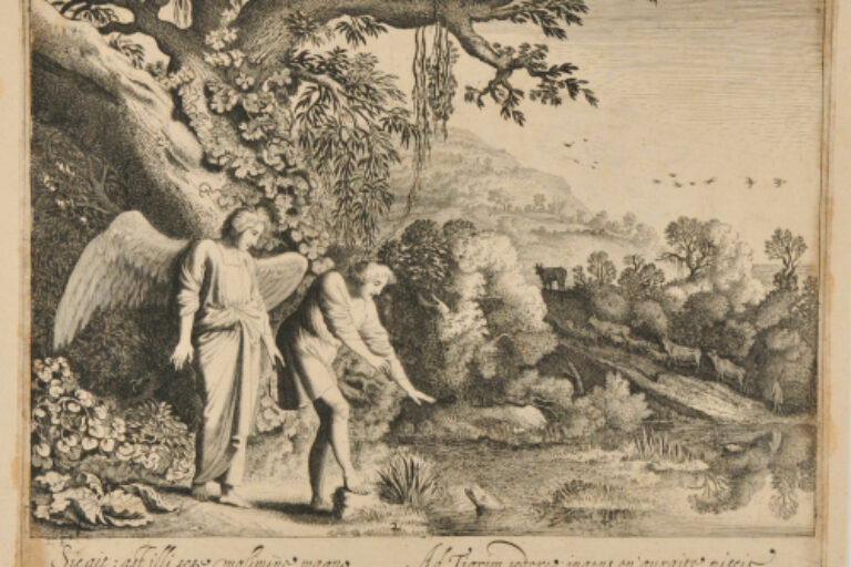 TOBIAS CATCHING THE FISH