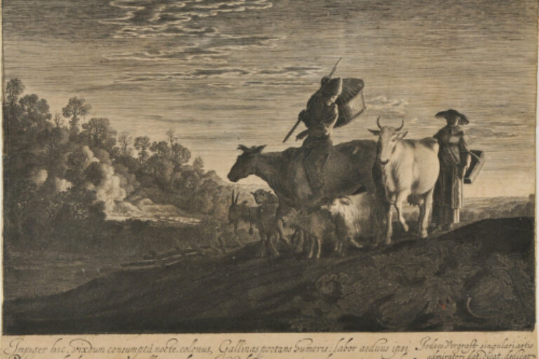 CATTLE RETURNING HOME