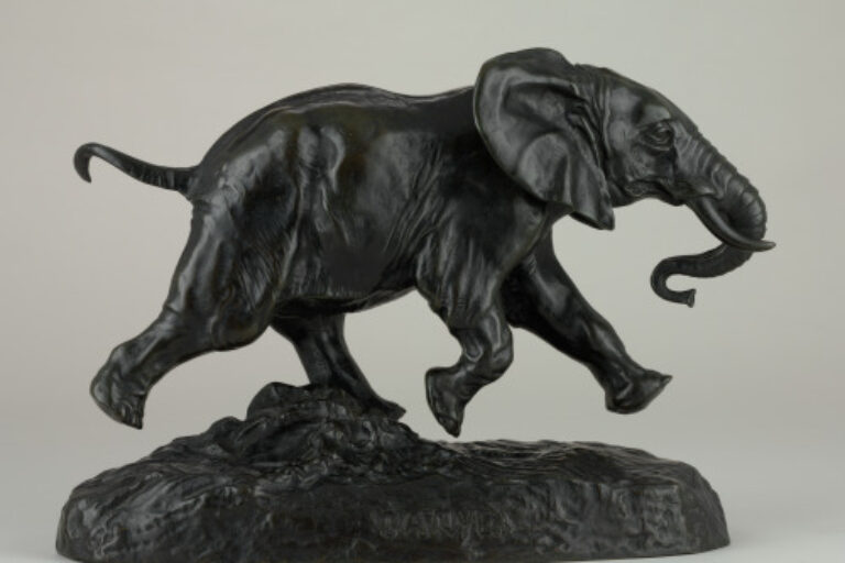 SENEGALESE ELEPHANT