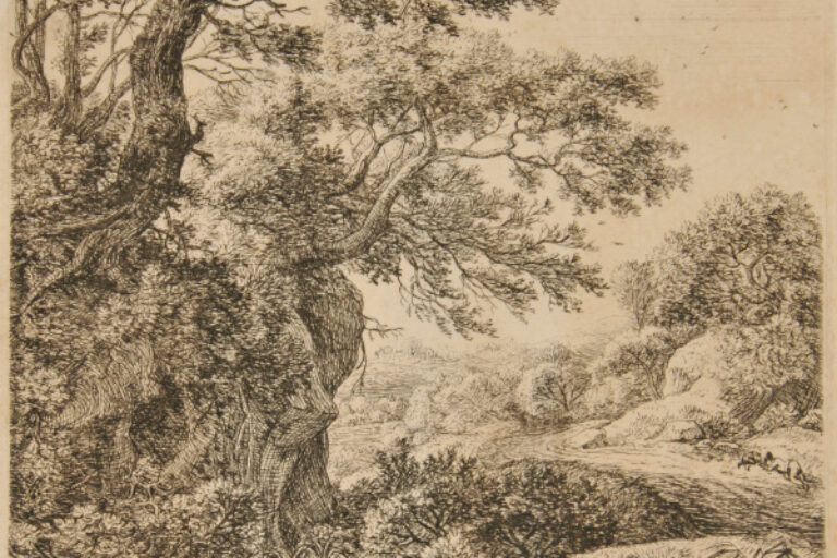 A MAN SLEEPING BESIDE A ROAD