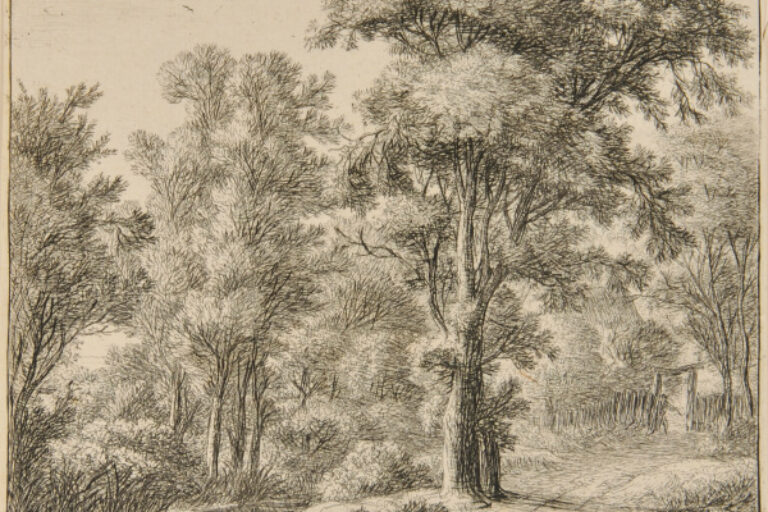 THE ENTRY TO THE WOOD