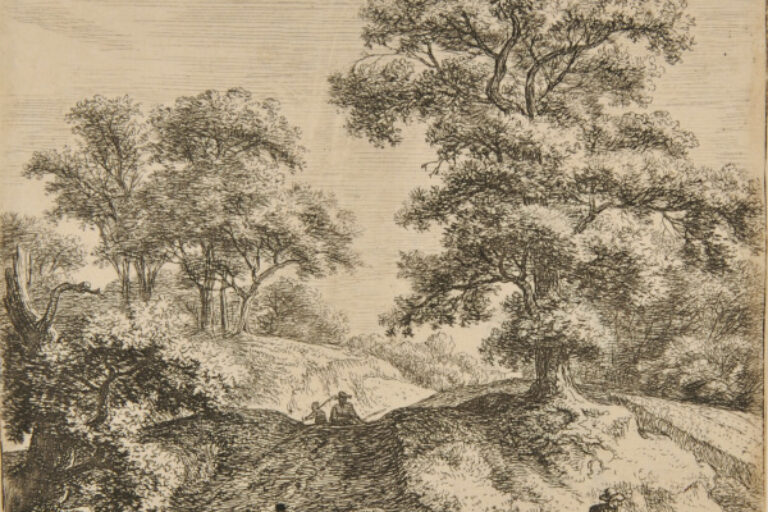 LARGE OAK ALONG A PATH