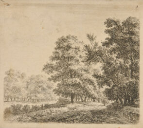 The Two Alleys of Trees